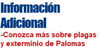 Información Adicional -Conozca más sobre plagas y exterminio de Palomas